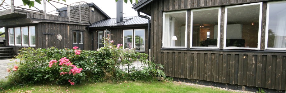 pageImage